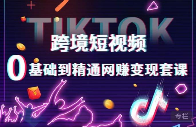 跨境短视频TIKTOK 0基础到精通网赚变现套课，跨境短视频独立站带货变现技巧-氢气球网创资源库