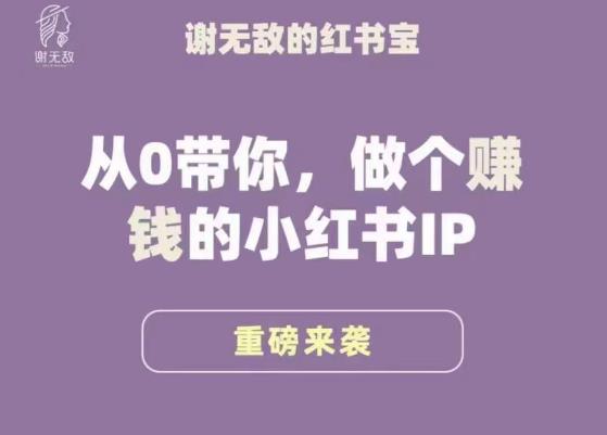 谢无敌·小红书运营大宝典，从0带你做个赚钱的小红书IP-氢气球网创资源库