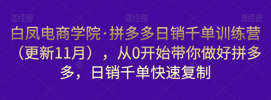 白凤电商学院·拼多多日销千单训练营，从0开始带你做好拼多多，日销千单快速复制（更新知2023年3月）-氢气球网创资源库