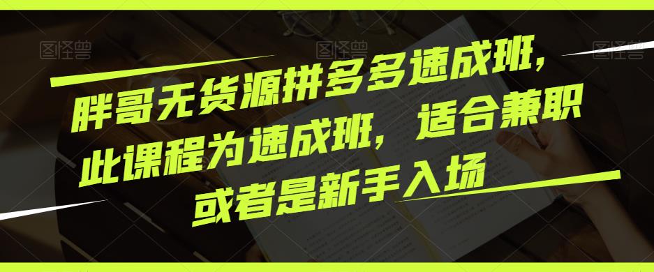 胖哥无货源拼多多速成班，此课程为速成班，适合兼职或者是新手入场-氢气球网创资源库