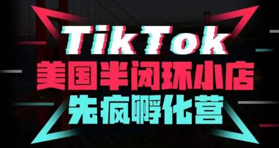 疯人院·TikTok美国半闭环小店孵化营，抢占TikTok美国蓝海市场，开店、运营、带货、投流全实操-氢气球网创资源库