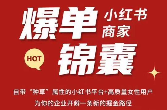 无畏·小红书商家爆单锦囊，掌握小红书各大规则，快速精准抢占行业和市场-氢气球网创资源库