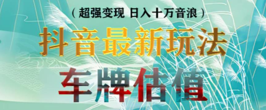 抖音最新无人直播变现直播车牌估值玩法项目，轻松日赚几百+【详细玩法教程】-氢气球网创资源库