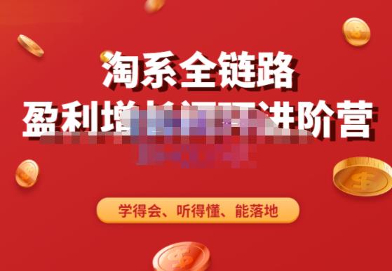 淘系全链路盈利增长闭环进阶营，融合全店动销，学得会、听得懂、能落地！-氢气球网创资源库