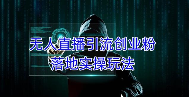 外面收费3980的无人直播引流创业粉落地实操玩法，单日引100+精准创业粉-氢气球网创资源库