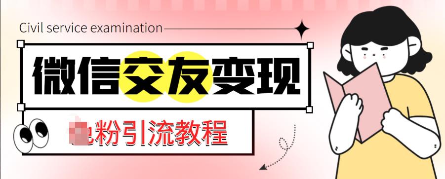 微信交友变现项目，吸引全网LSP男粉精准变现，小白也能轻松上手，日入500+-氢气球网创资源库