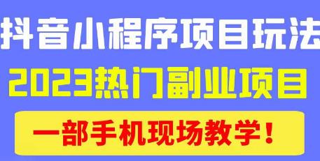 抖音小程序9.0新技巧，2023热门副业项目，动动手指轻松变现-氢气球网创资源库
