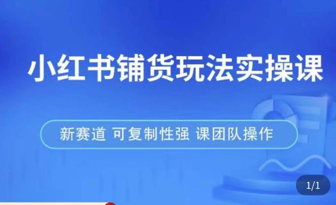 小红书铺货玩法实操课，流量大，竞争小，非常好做，新赛道，可复制性强，可团队操作-氢气球网创资源库
