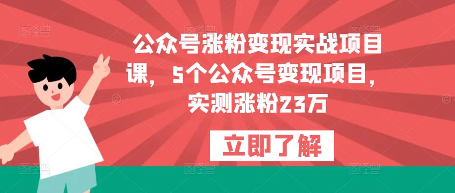 公众号涨粉变现实战项目课，5个公众号变现项目，实测涨粉23万-氢气球网创资源库