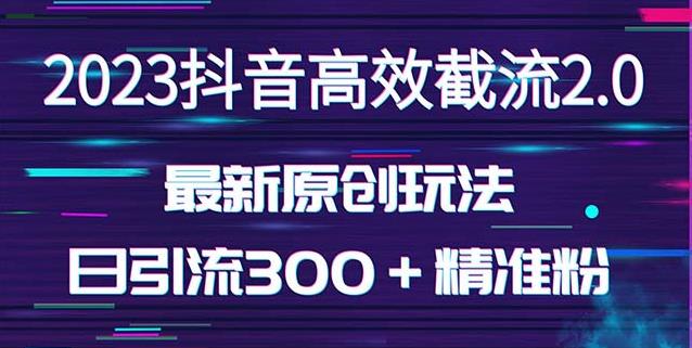 日引300＋创业粉，独家抖音高效截流2.0玩法（价值1280）-氢气球网创资源库