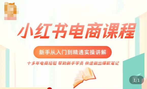 小红书电商新手入门到精通实操课，从入门到精通做爆款笔记，开店运营-氢气球网创资源库