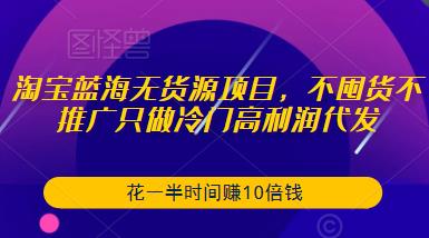 淘宝蓝海无货源项目，不囤货不推广只做冷门高利润代发，花一半时间赚10倍钱-氢气球网创资源库