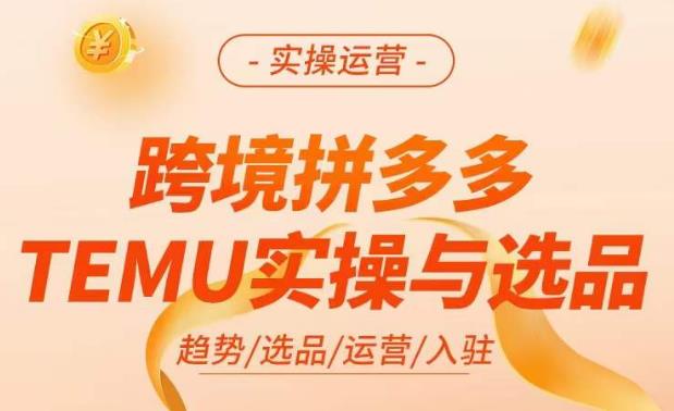 跨境拼多多TEMU实操与选品，​掌握平台运营方法技巧，选品避坑12条标准，爆款的底层思路等-氢气球网创资源库