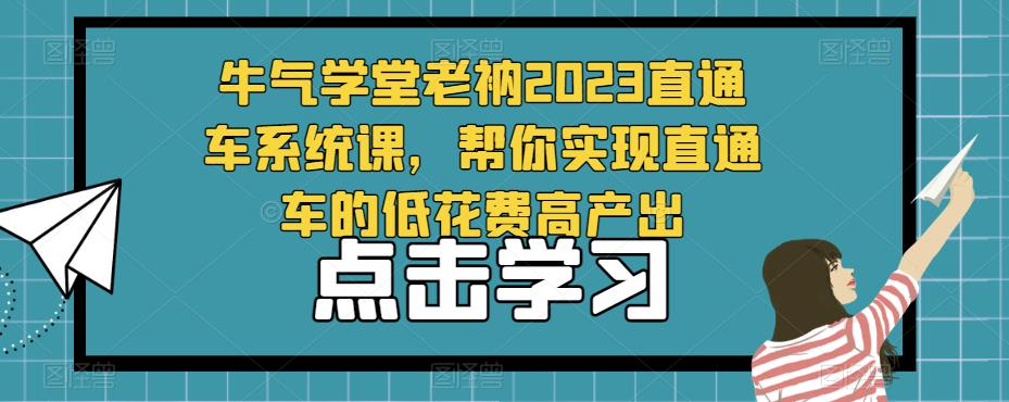 牛气学堂老衲2023直通车系统课，帮你实现直通车的低花费高产出-氢气球网创资源库