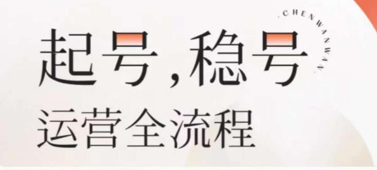 婉婉-起号稳号运营全流程，解决从小白到进阶所有运营知识，帮助解决账号所有运营难题-氢气球网创资源库