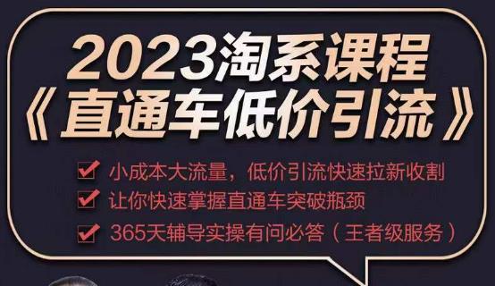 2023直通车低价引流玩法课程，小成本大流量，低价引流快速拉新收割，让你快速掌握直通车突破瓶颈-氢气球网创资源库