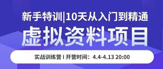 虚拟资料项目新手特训，10天从入门到精通，保姆级实操教学-氢气球网创资源库