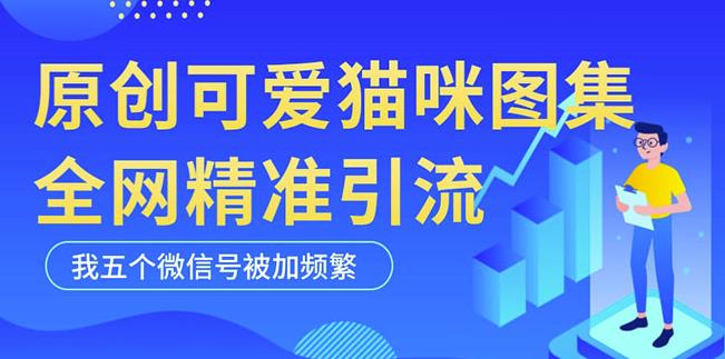 黑科技纯原创可爱猫咪图片，全网精准引流，实操5个VX号被加频繁-氢气球网创资源库