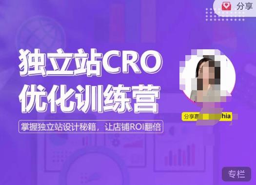 独立站CRO优化训练营，掌握独立站设计秘籍，打造高转化的独立站，让店铺ROI翻倍-氢气球网创资源库