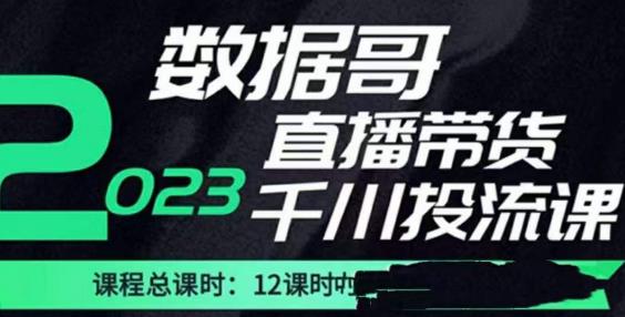 数据哥2023直播电商巨量千川付费投流实操课，快速掌握直播带货运营投放策略-氢气球网创资源库