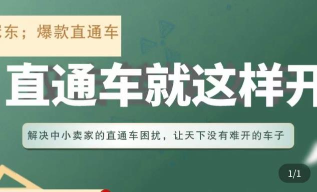 冠东·淘系直通车保姆级教程，全面讲解直通车就那么简单-氢气球网创资源库