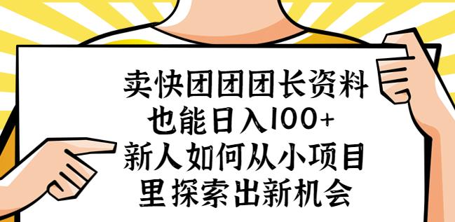卖快团团团长资料也能日入100+新人如何从小项目里探索出新机会-氢气球网创资源库