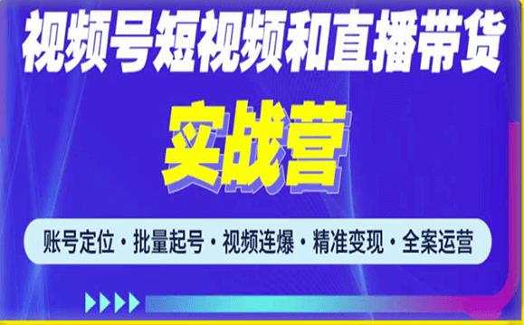 2023最新微信视频号引流和变现全套运营实战课程，小白也能玩转视频号短视频和直播运营-氢气球网创资源库