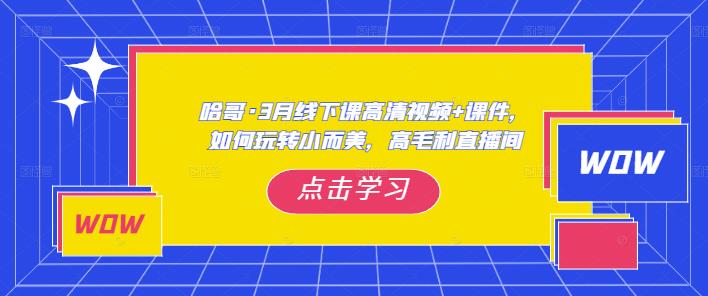 哈哥·3月线下实操课高清视频+课件，如何玩转小而美，高毛利直播间-氢气球网创资源库