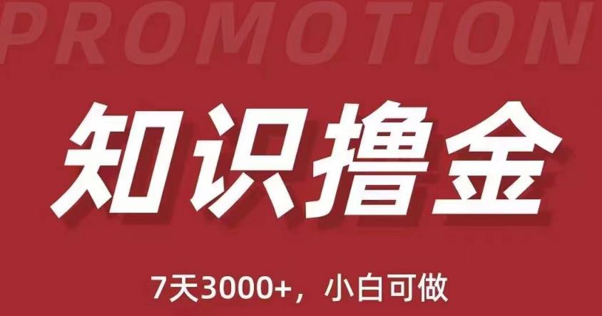 抖音知识撸金项目：简单粗暴日入1000+执行力强当天见收益(教程+资料)-氢气球网创资源库