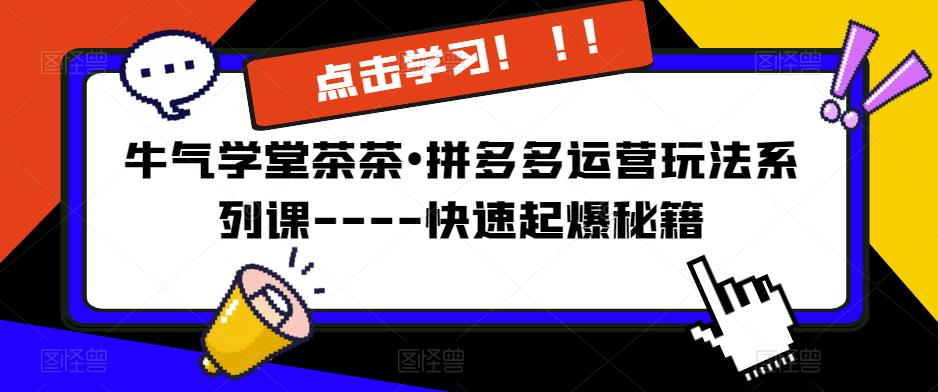 牛气学堂茶茶•拼多多运营玩法系列课—-快速起爆秘籍【更新】-氢气球网创资源库