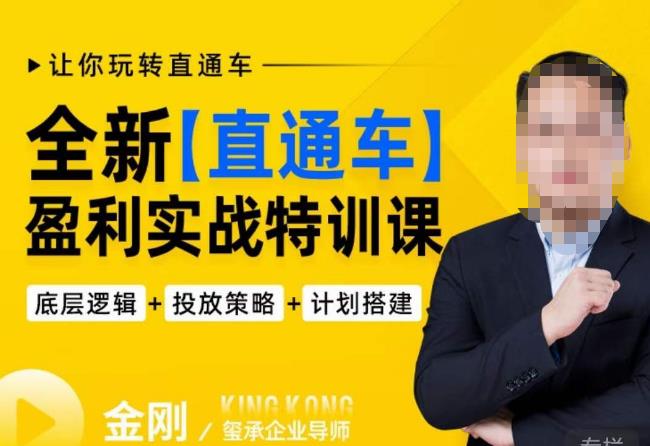 玺承·全新直通车盈利实战特训课，从​底层逻辑详细拆解，从底层，策略到搭建，让你玩转直通车-氢气球网创资源库