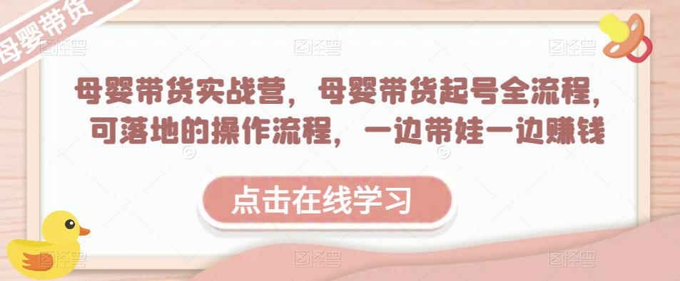 母婴带货实战营，母婴带货起号全流程，可落地的操作流程，一边带娃一边赚钱（附素材）-氢气球网创资源库