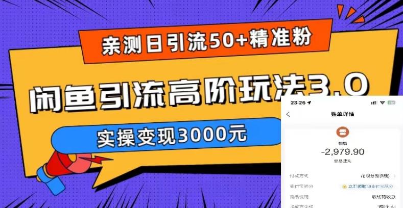 亲测日引50+精准粉，闲鱼引流高阶玩法3.0，实操变现3000元【揭秘】-氢气球网创资源库