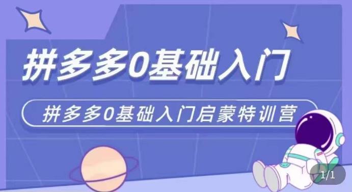 拼多多运营0-1实操特训营，拼多多0基础入门，从基础到进阶的可实操玩法-氢气球网创资源库