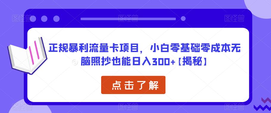 正规暴利流量卡项目，小白零基础零成本无脑照抄也能日入300+【揭秘】-氢气球网创资源库