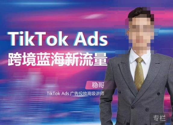稳哥·如何投出高ROI的TikTok广告，开拓独立站卖家流量新蓝海-氢气球网创资源库