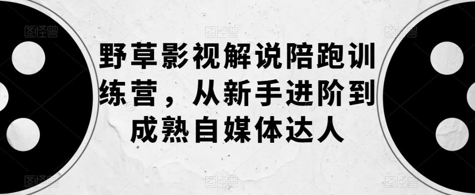 野草影视解说陪跑训练营，从新手进阶到成熟自媒体达人-氢气球网创资源库