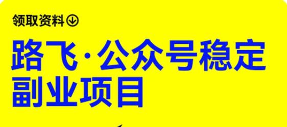 路飞·公众号稳定副业项目，你只要无脑去推广，粉丝和收入，自然就来了-氢气球网创资源库