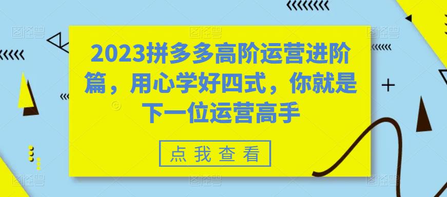 2023拼多多高阶运营进阶篇，用心学好四式，你就是下一位运营高手-氢气球网创资源库