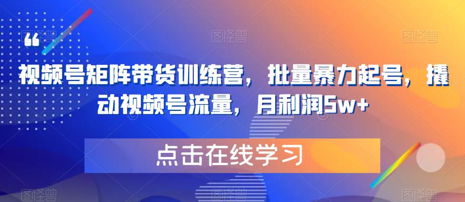 视频号矩阵带货训练营，批量暴力起号，撬动视频号流量，月利润5w+-氢气球网创资源库