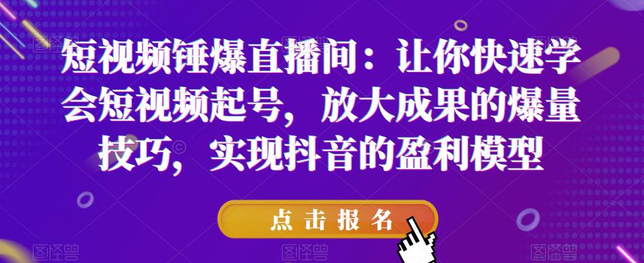 短视频锤爆直播间：让你快速学会短视频起号，放大成果的爆量技巧，实现抖音的盈利模型-氢气球网创资源库