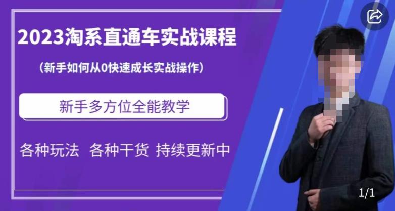 2023淘系直通车保姆式运营讲解，新手如何从0快速成长实战操作，新手多方位全能教学-氢气球网创资源库