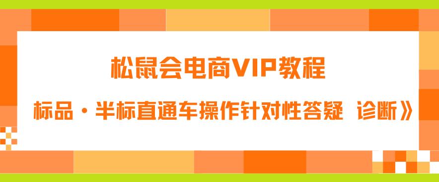 松鼠会电商VIP教程：松鼠《付费推广标品·半标直通车操作针对性答疑&诊断》-氢气球网创资源库