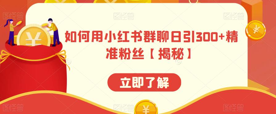 如何用小红书群聊日引300+精准粉丝【揭秘】-氢气球网创资源库