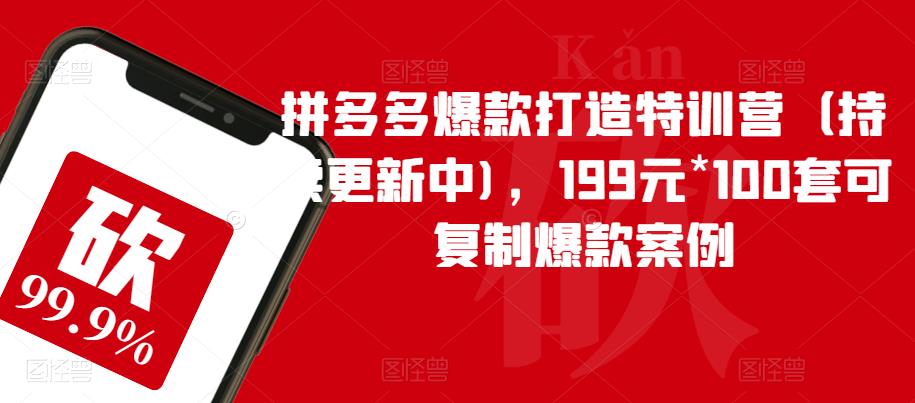 拼多多爆款打造特训营（持续更新中)，199元*100套可复制爆款案例-氢气球网创资源库