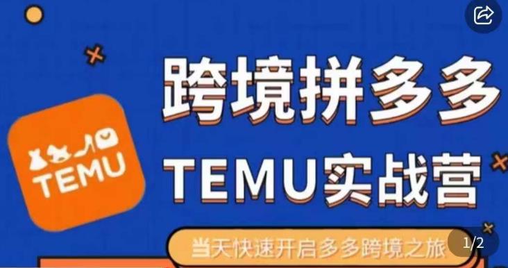 大鹏出海·拼多多跨境temu运营指导，开店注册+选品+核价上架，日出千单实战课-氢气球网创资源库