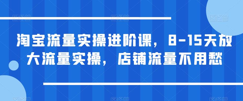 淘宝流量实操进阶课，8-15天放大流量实操，店铺流量不用愁-氢气球网创资源库