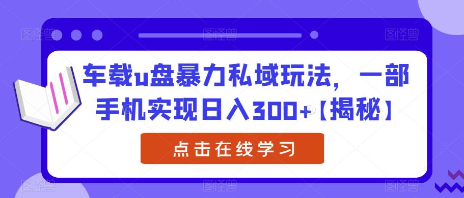 车载u盘暴力私域玩法，一部手机实现日入300+【揭秘】-氢气球网创资源库