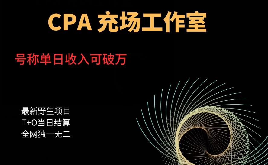 cpa充场工作室，号称单日收入10000+（揭秘）-氢气球网创资源库