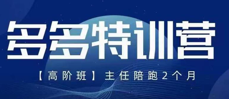 纪主任·5月最新多多特训营高阶班，玩法落地实操，多多全掌握-氢气球网创资源库